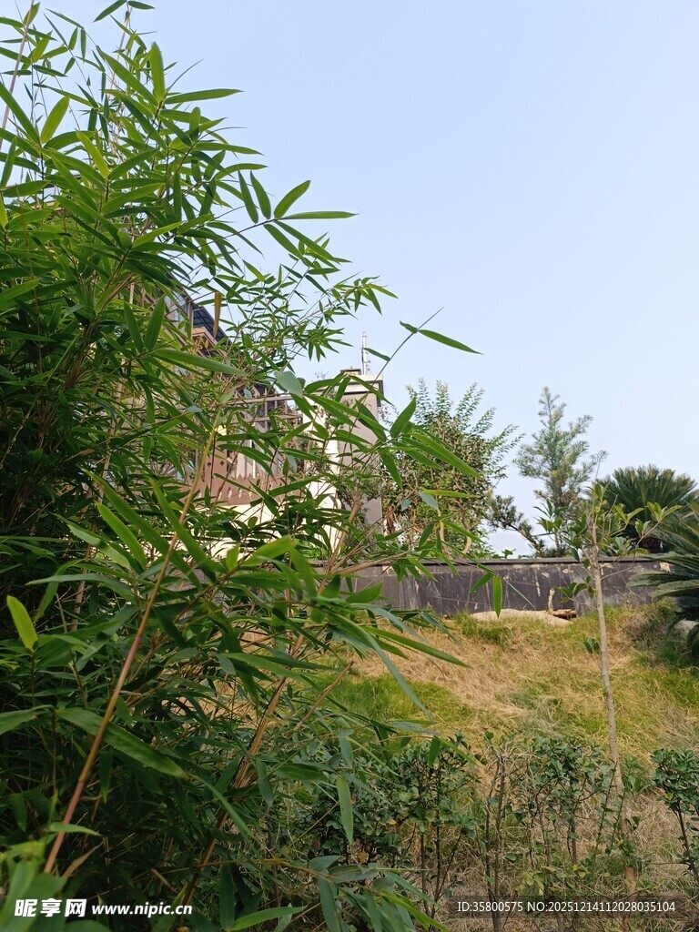 户外绿植环绕的自然景致