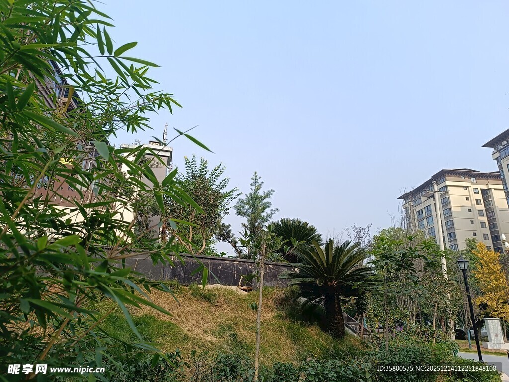 城郊绿植环绕的建筑景观