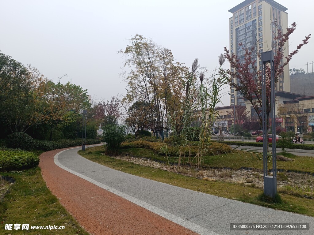 城市中的蜿蜒景观步道