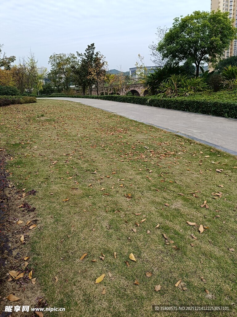 户外草地旁的蜿蜒小路