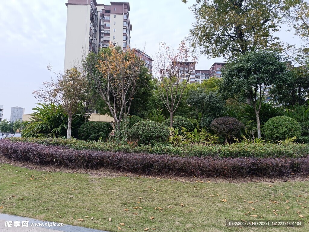 城市绿化带景观