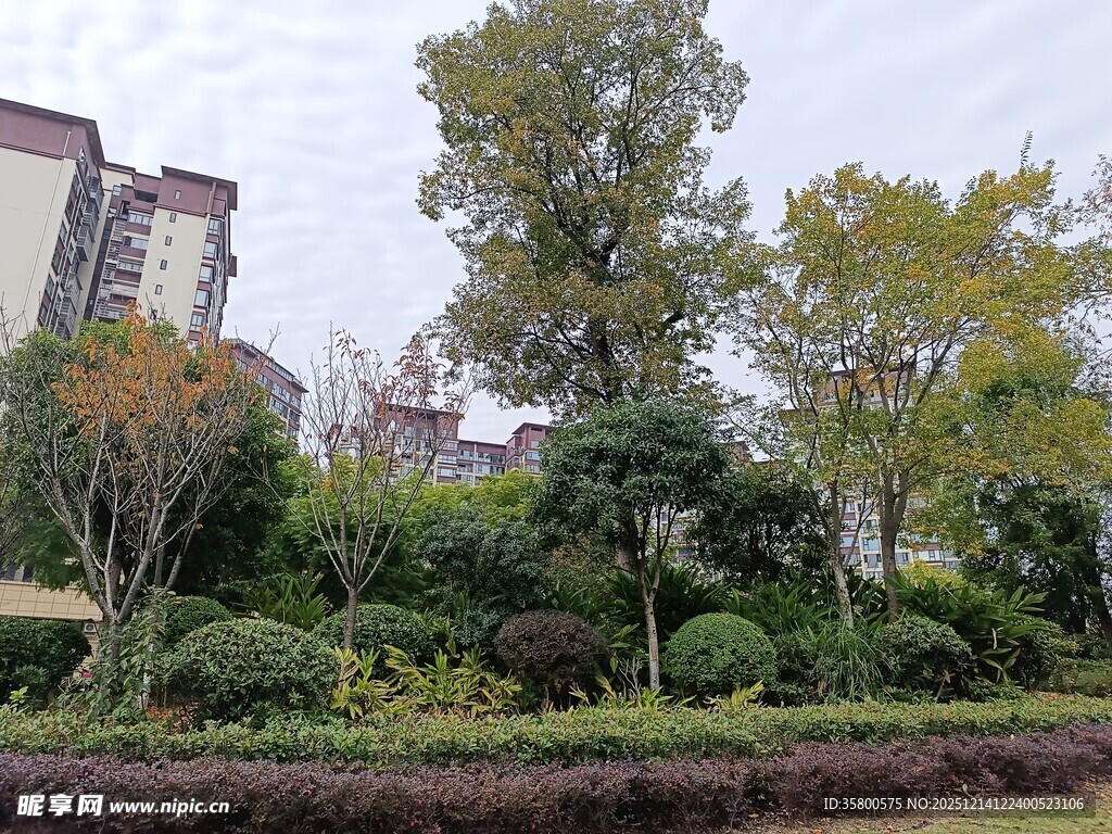 城市中的绿植景观