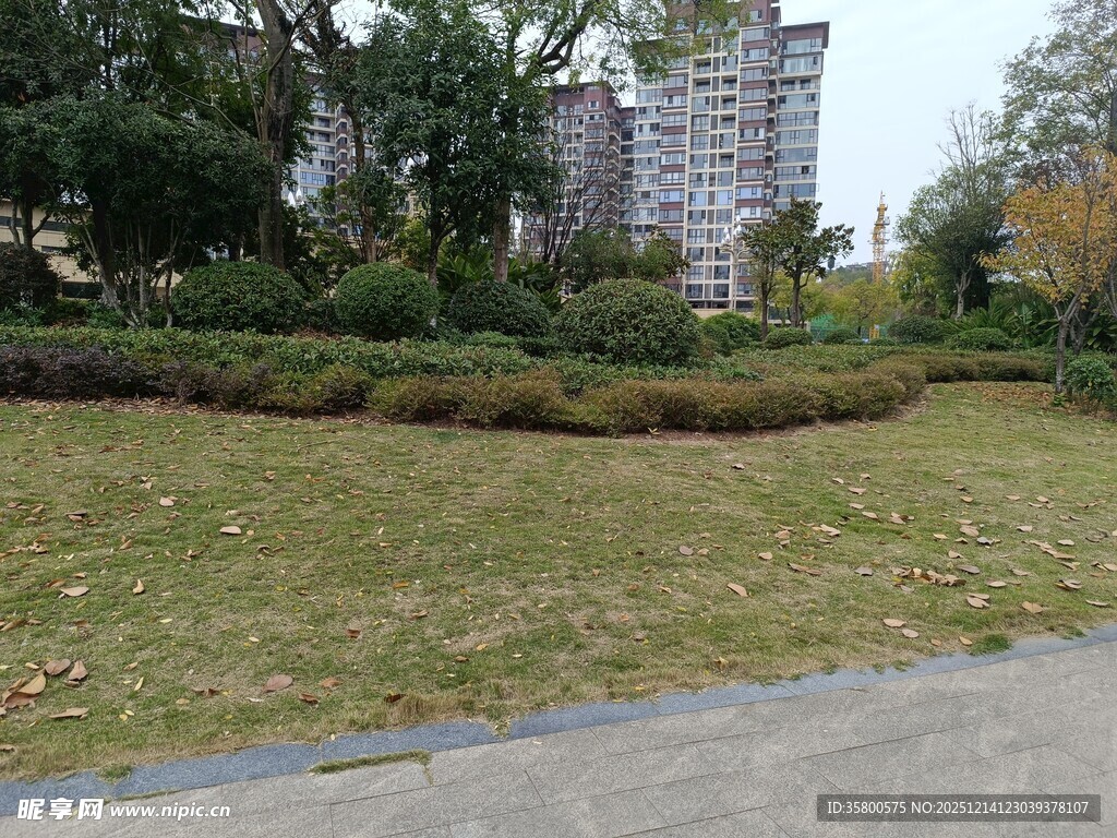 城市中的绿地景观