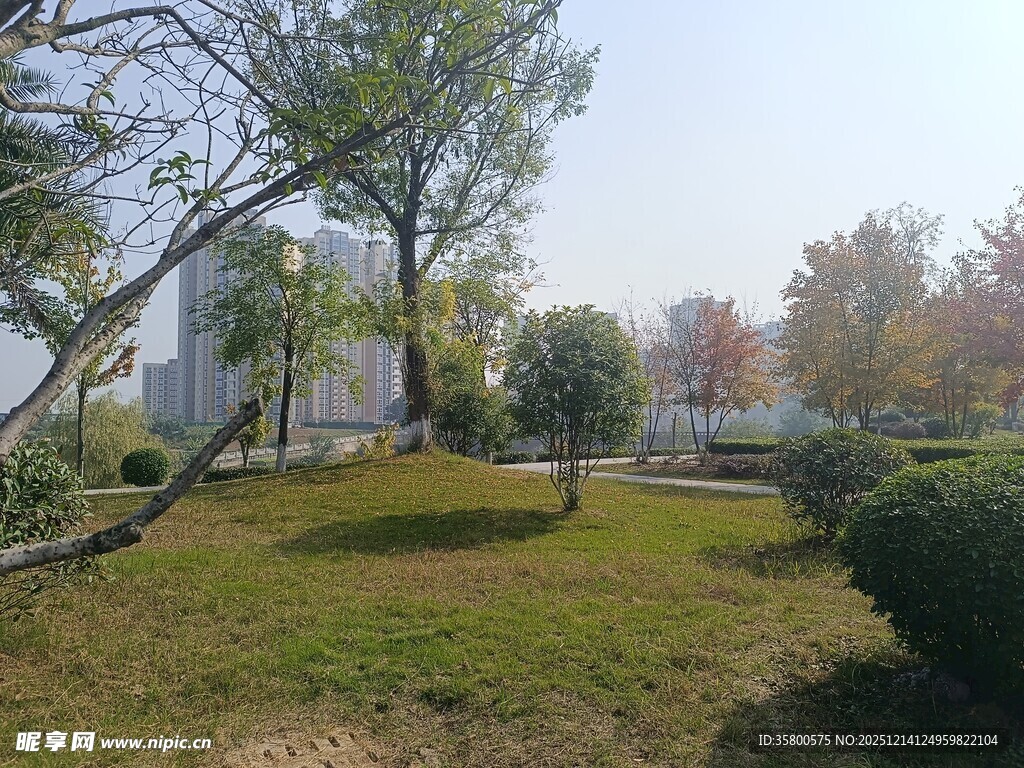 城市中的静谧绿化景观