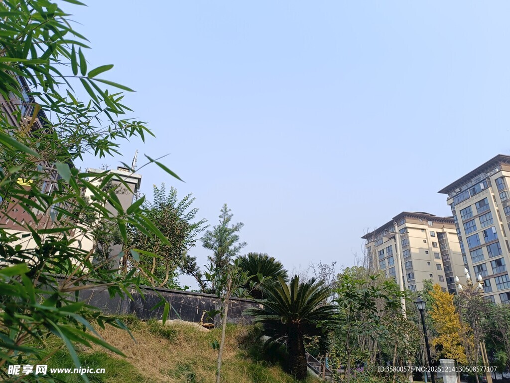 城郊绿植旁的现代建筑