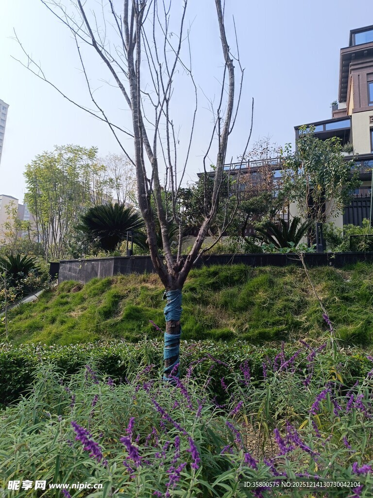 城市中的绿植景观一角