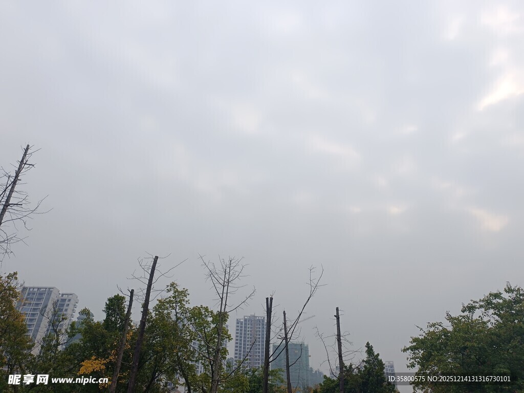 阴天城市绿植景观