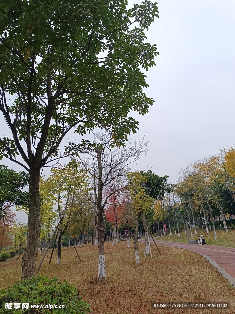 秋日公园漫步景致