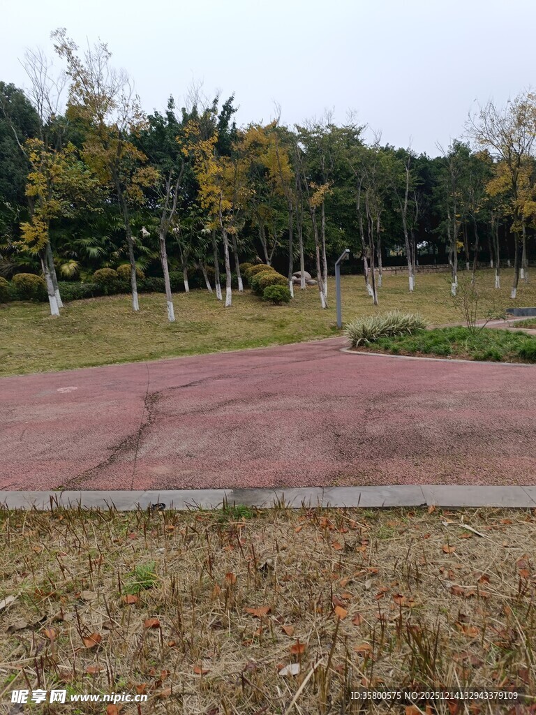 秋日公园中的空荡红色场地