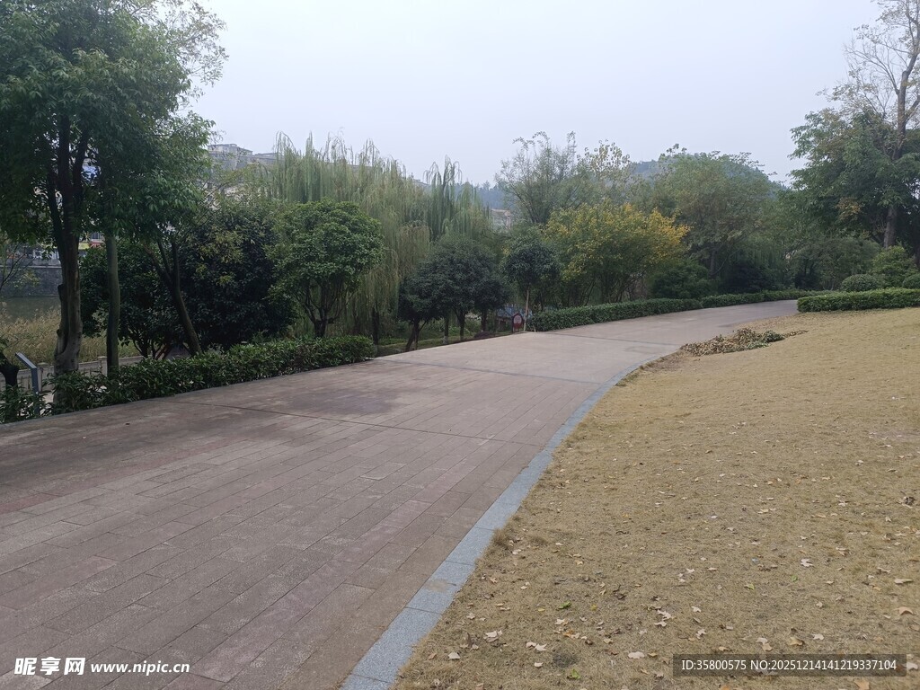 郊外弯曲的柏油小路