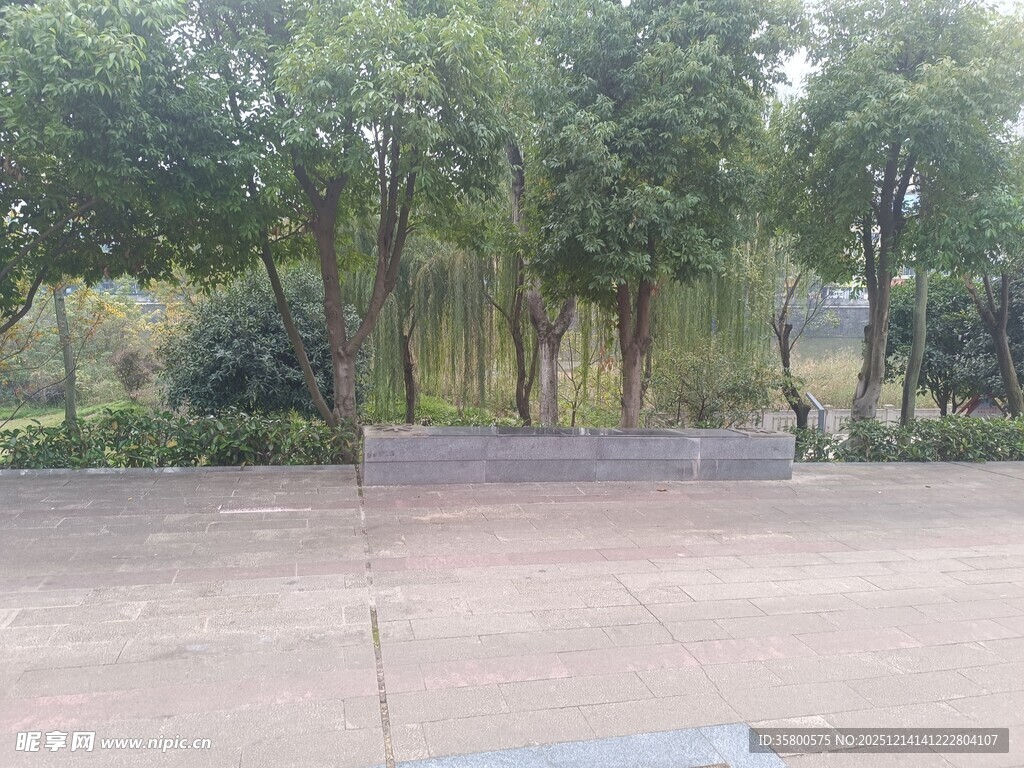 户外林间开阔场地