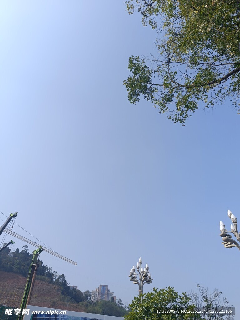 天空中飞翔的白鸽