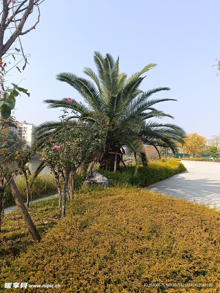 秋日园林景观一角