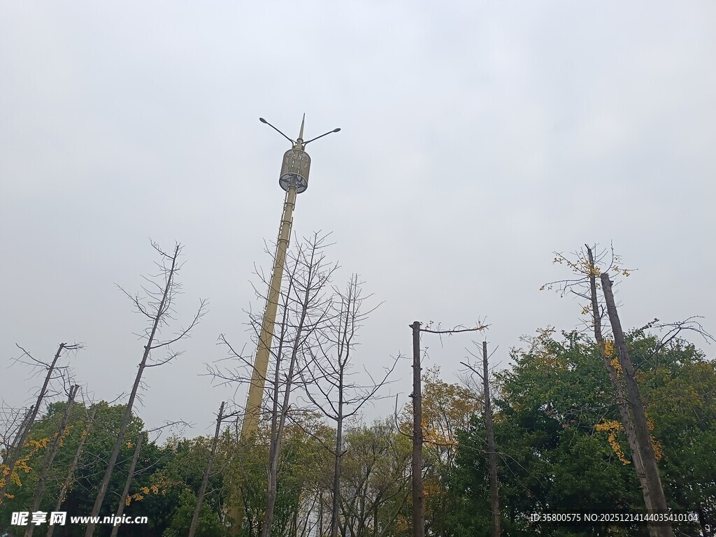 高耸风车立于树木间