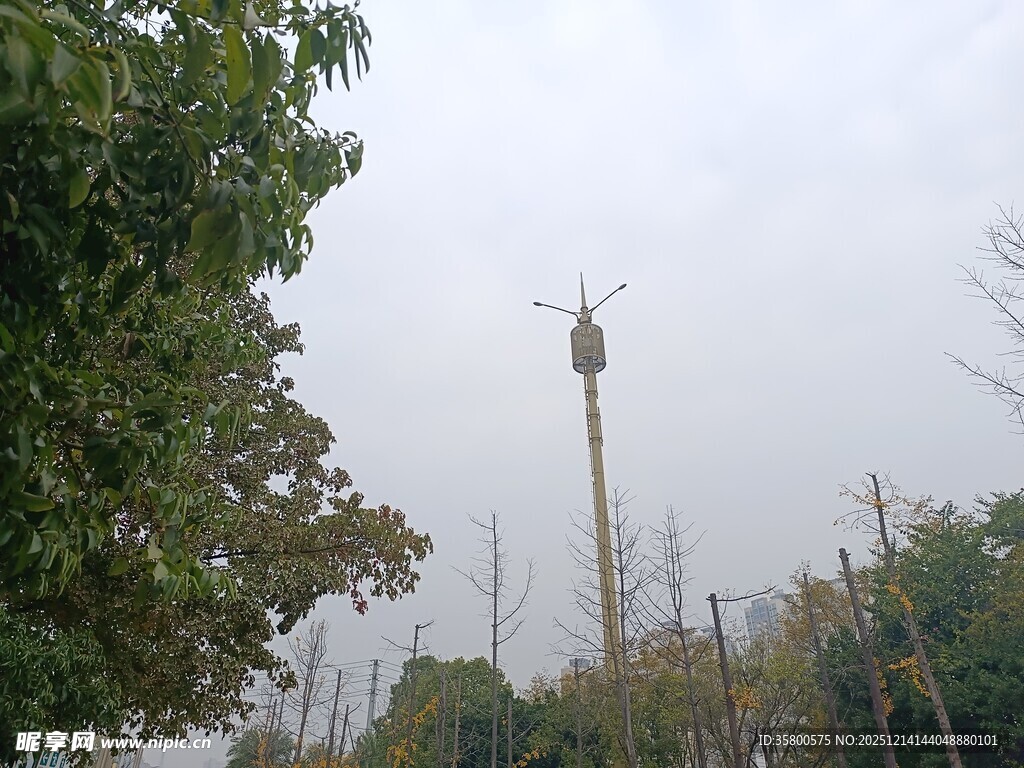 户外风车立于绿树间