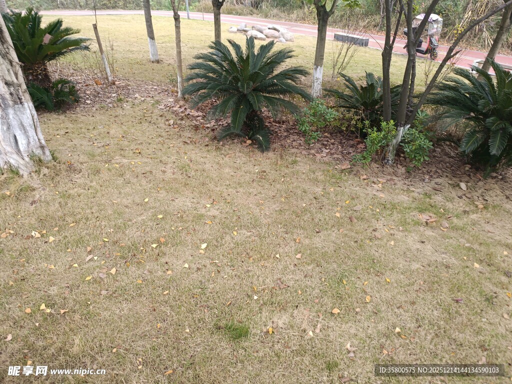 户外庭院绿植景观一角