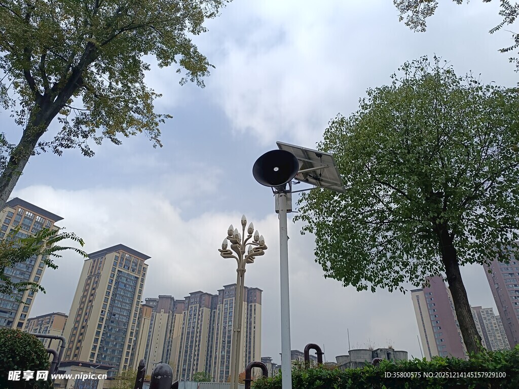 城市景观中的独特路灯