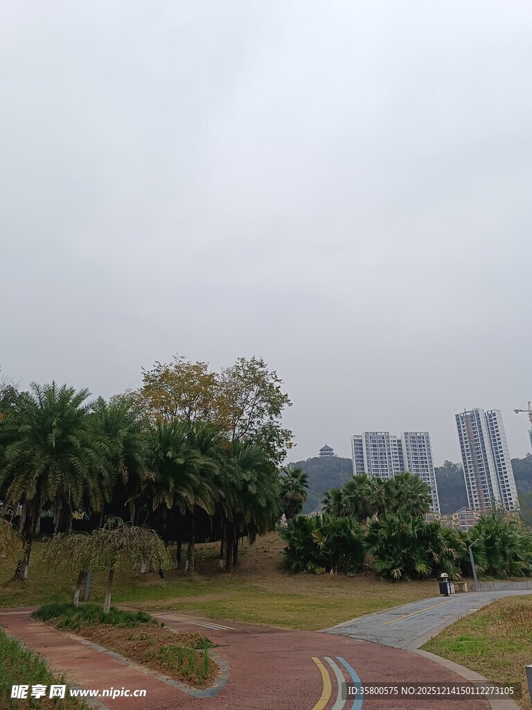 城市公园中的蜿蜒小路