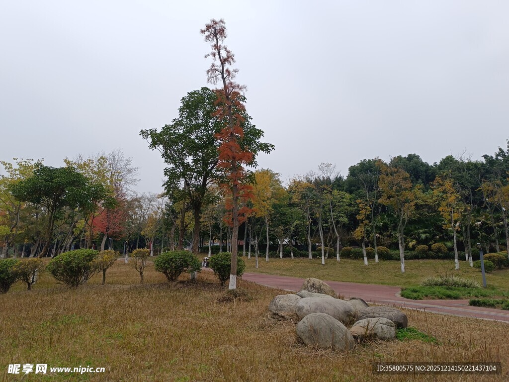 秋日公园风景