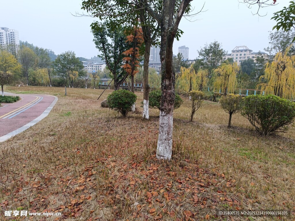 秋日公园小径与绿植景观