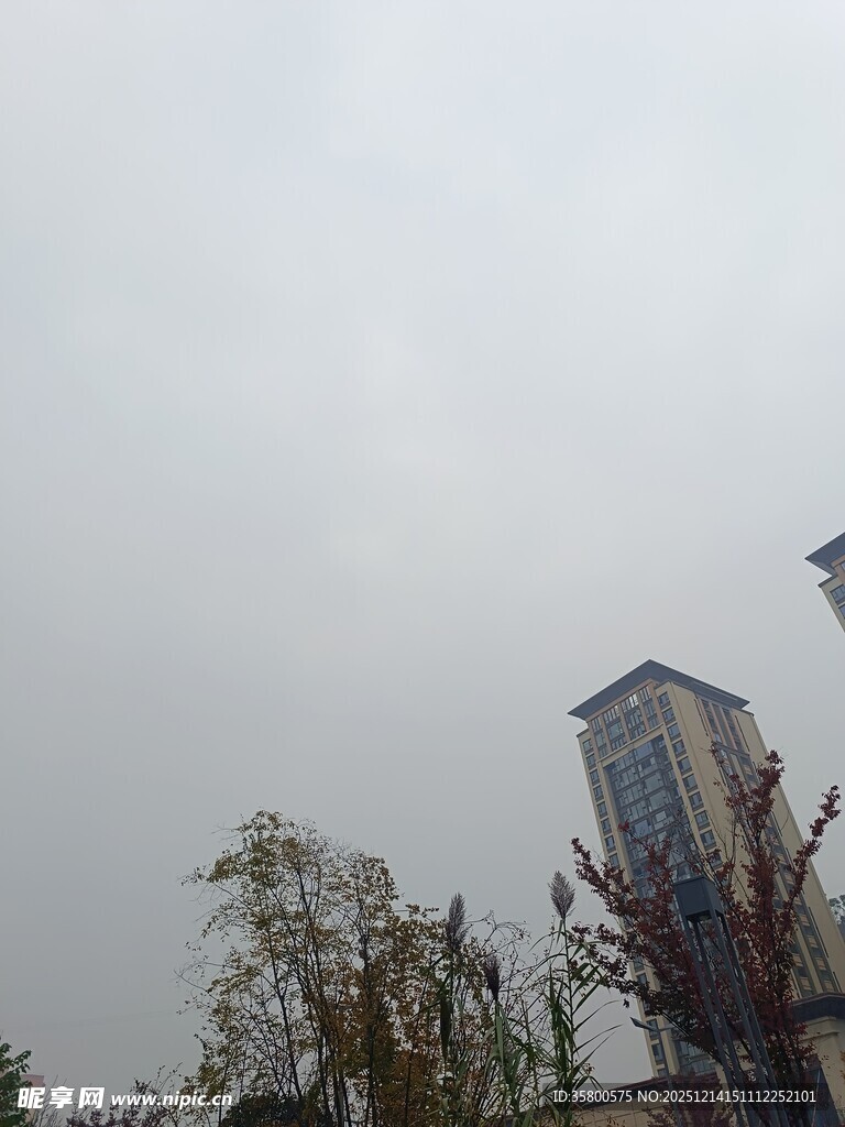 阴天城市建筑与树木景观