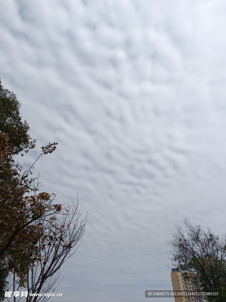 天空中独特的波状层积云