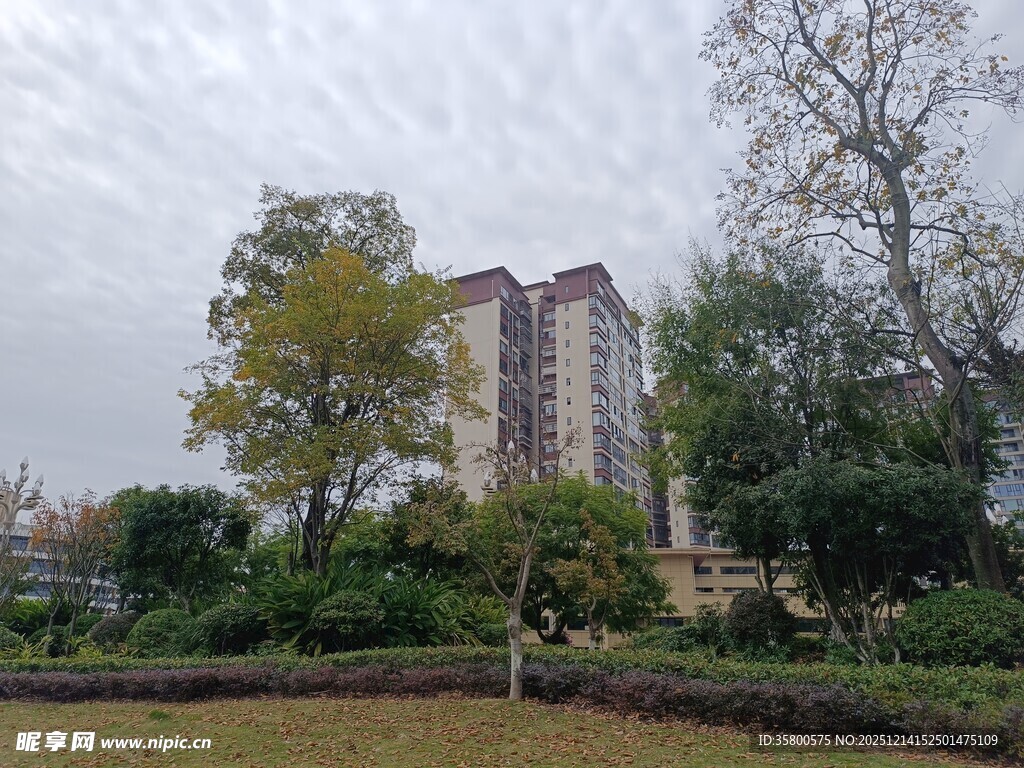 小区周边绿化景观