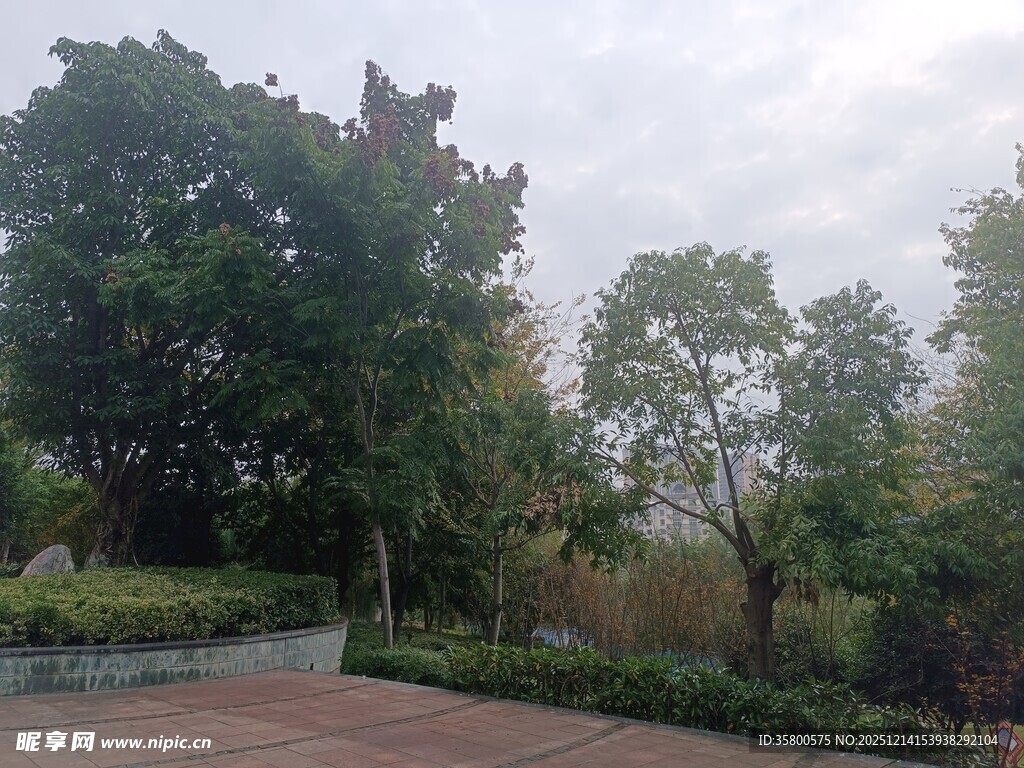 户外绿树环绕的宁静景致