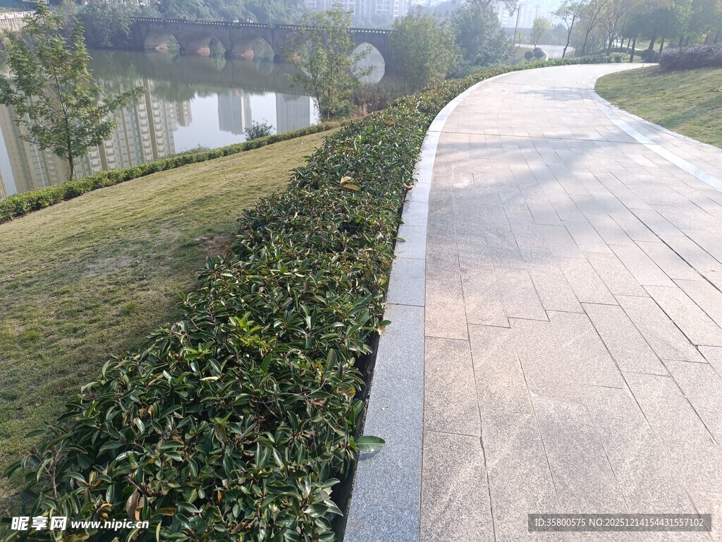 公园中整洁的步道景观