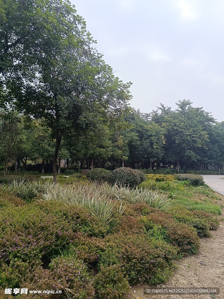 郊外绿意盎然的自然景致