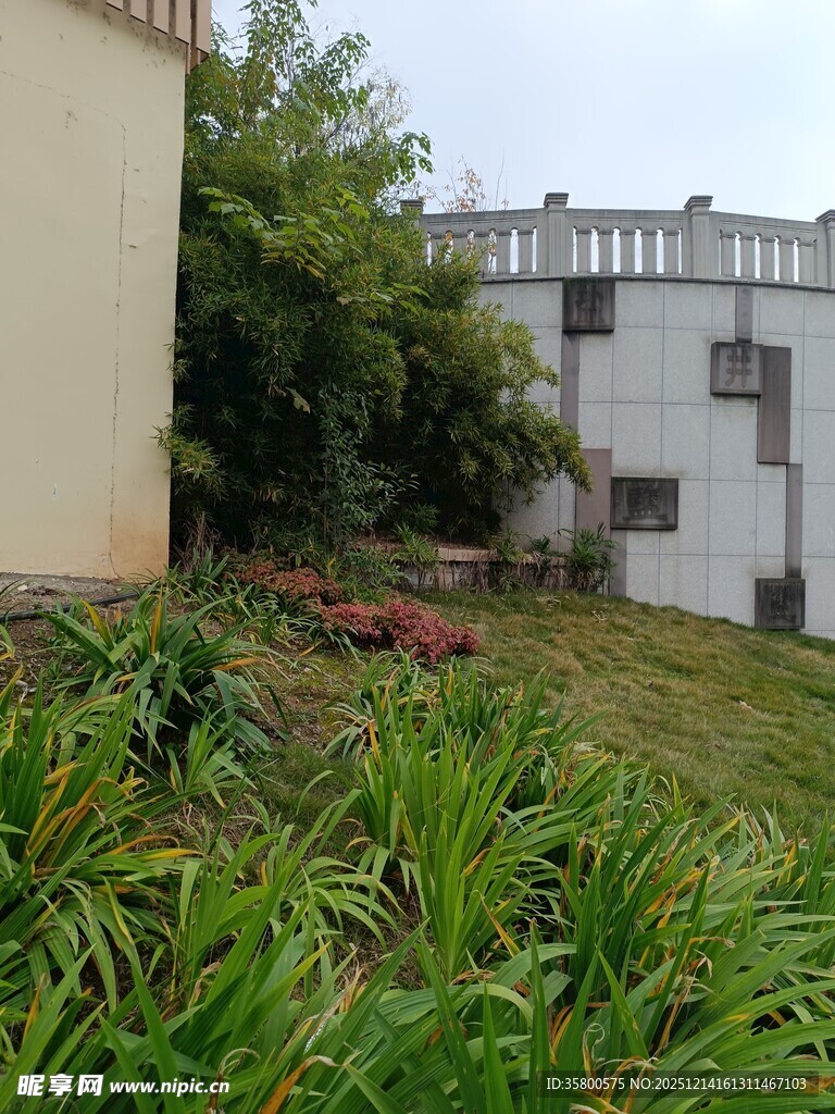 庭院绿植与建筑景致