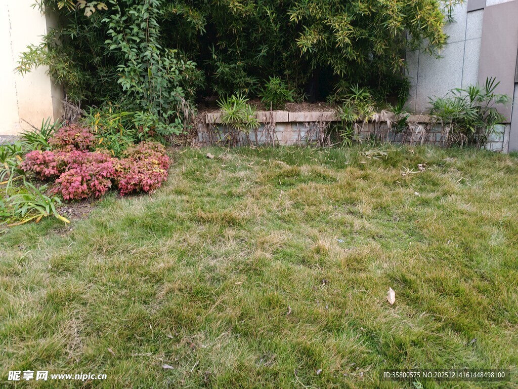 庭院草地与绿植景观