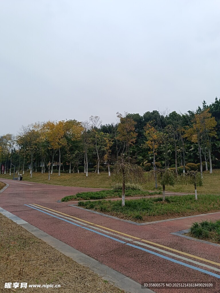 秋日公园的多彩道路景观