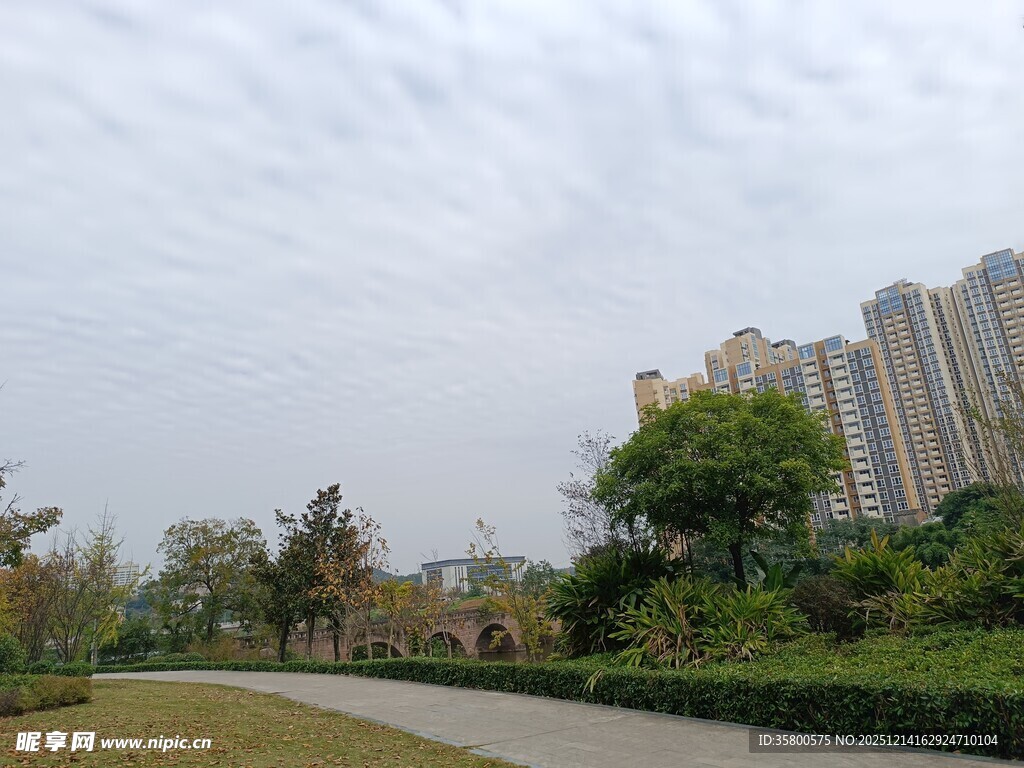 城市中的绿地与高楼景观