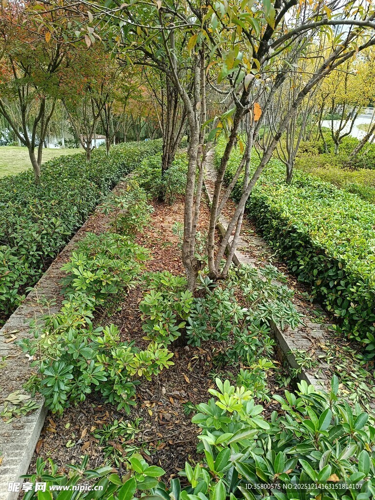 精致园林绿植景观