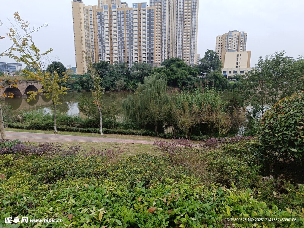 城市中的绿意公园景观