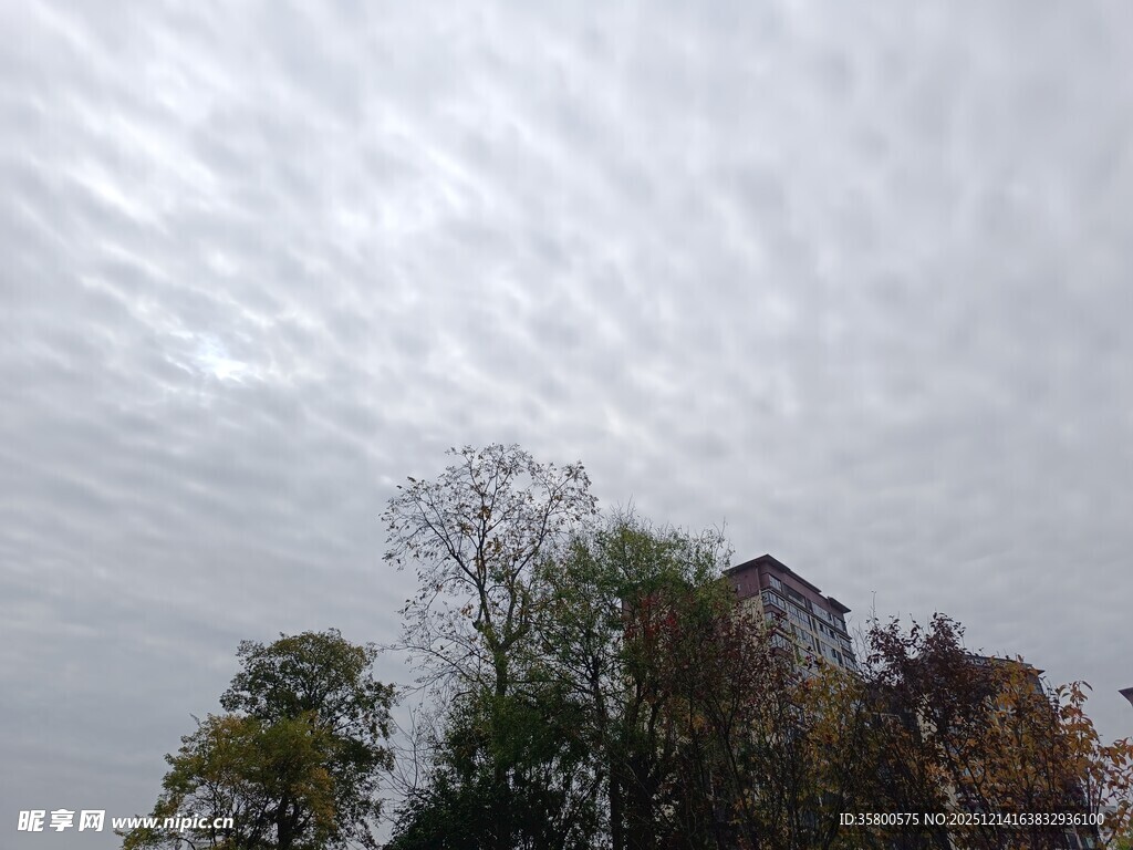 秋日云下的树木与建筑