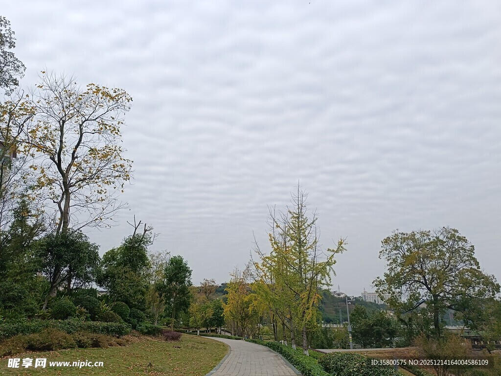 秋日林间小道风景