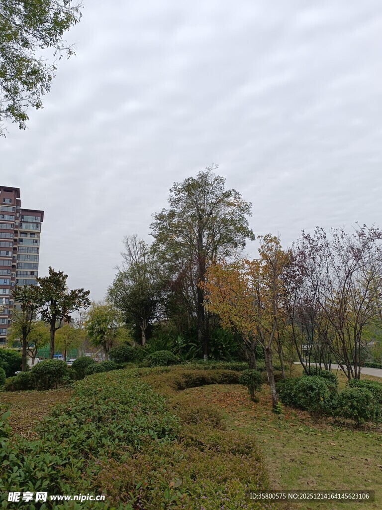 秋日城市公园景致