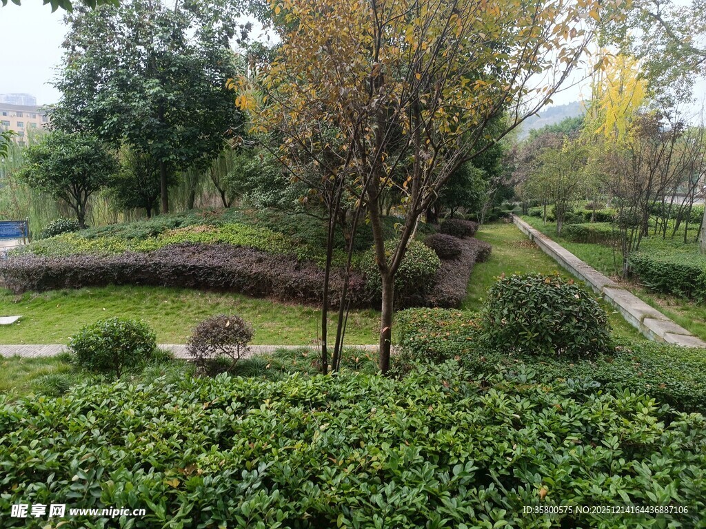 秋日园林景观俯瞰