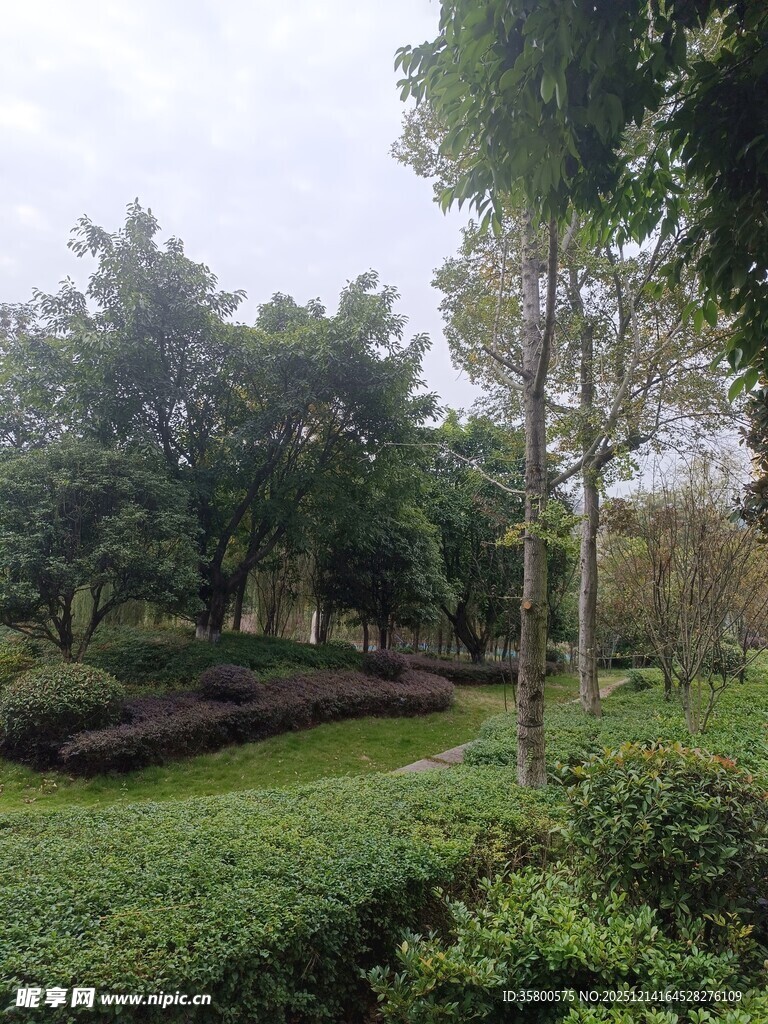 绿意盎然的园林景观