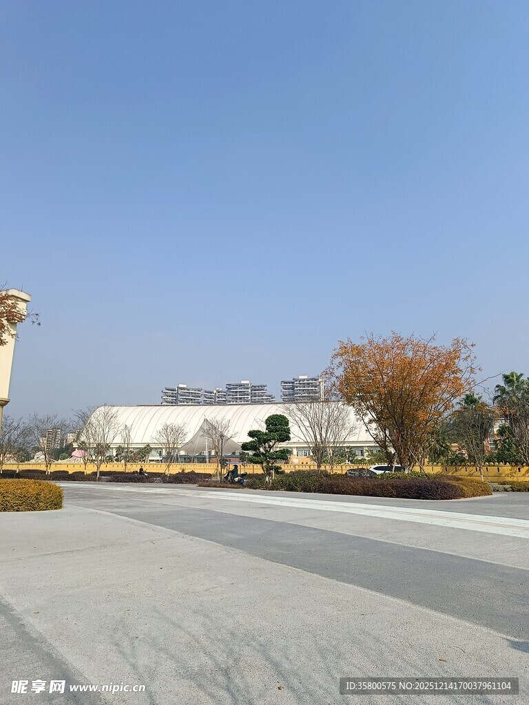 开阔户外景观场景