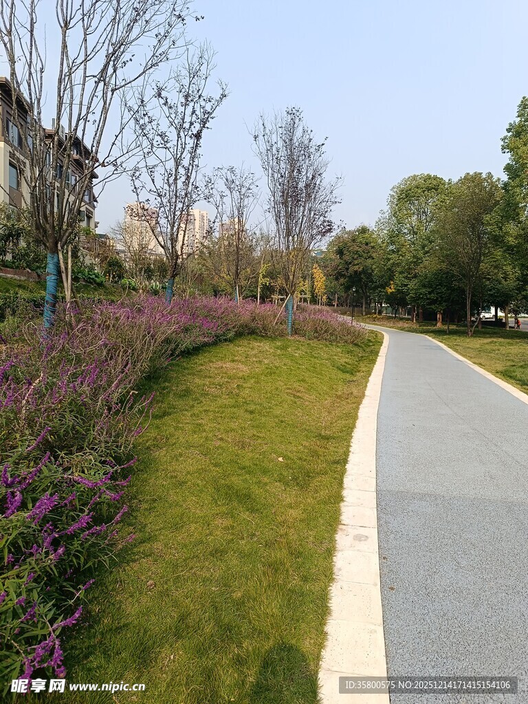 城市中美丽的花草小径