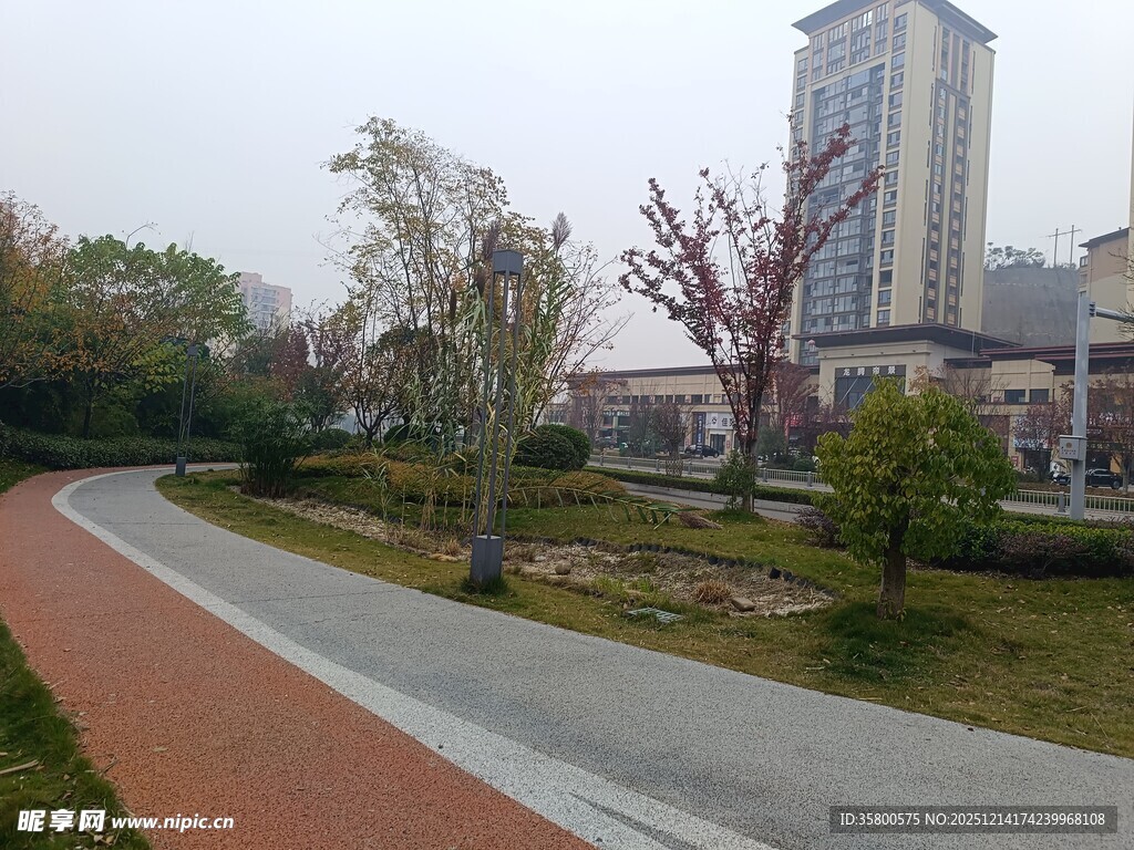 城市公园中的蜿蜒步道