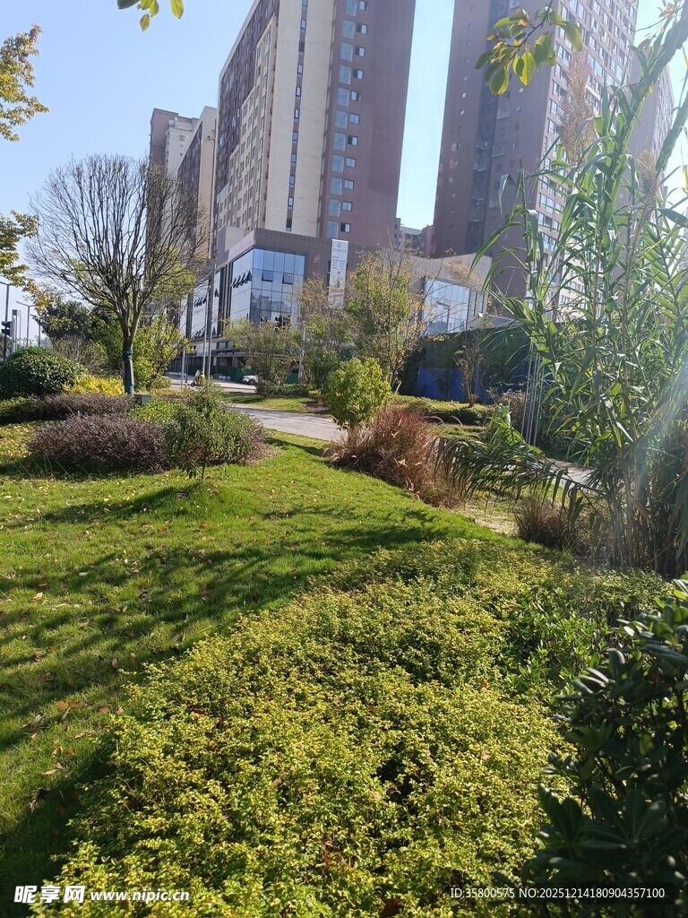 城市中的绿意盎然景观