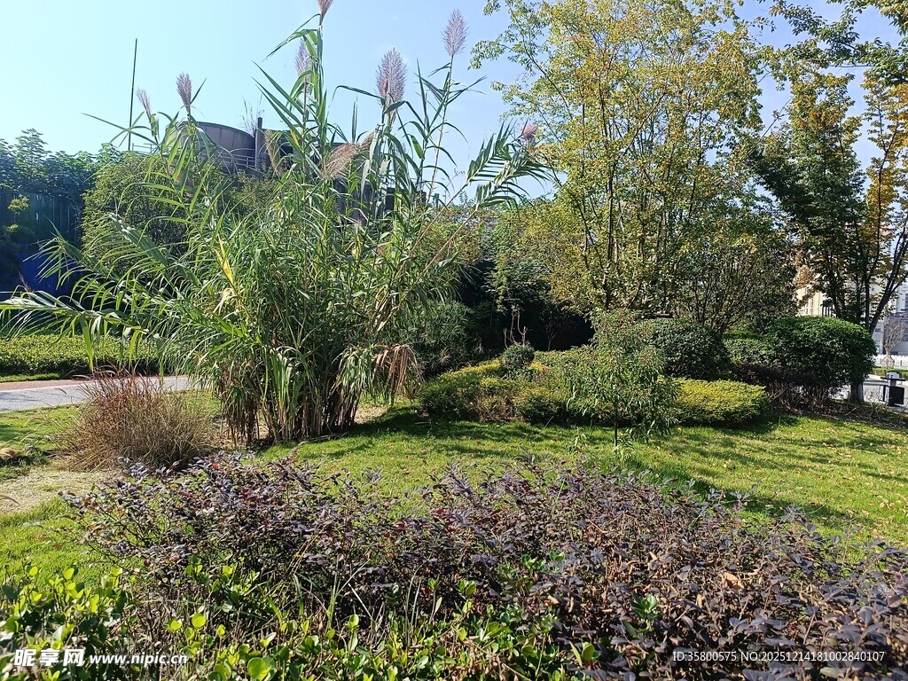 户外绿意盎然的自然景致