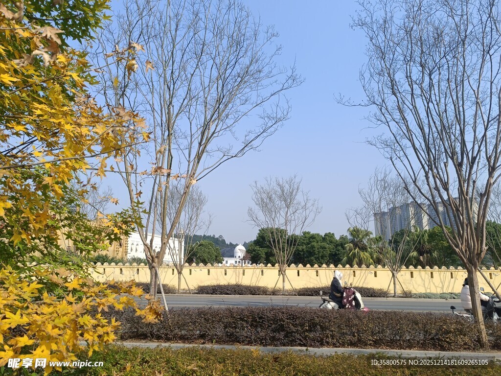 秋日公园劳作场景