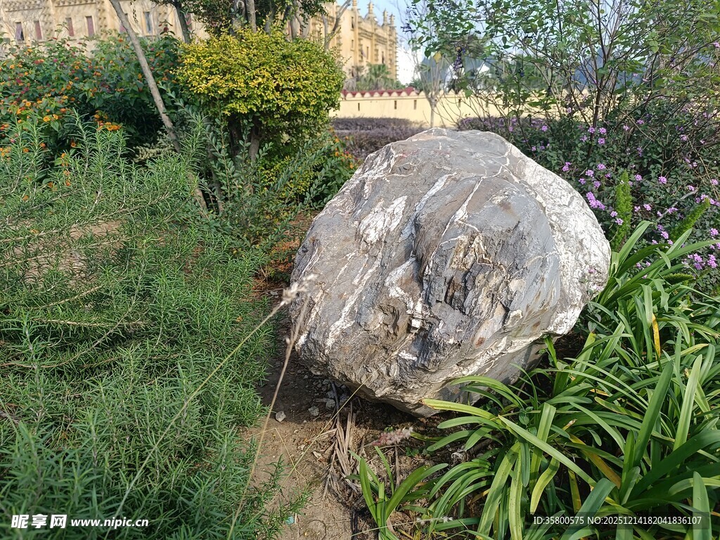 户外花园中的巨石景观