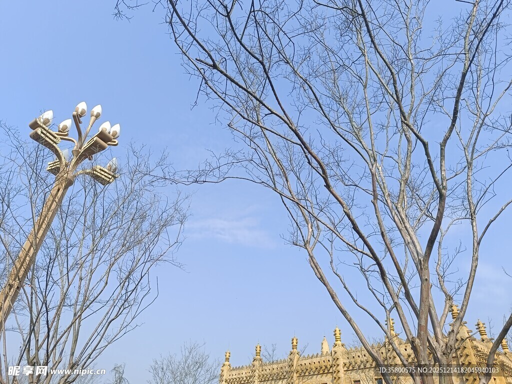 长颈鹿与树木蓝天的景象