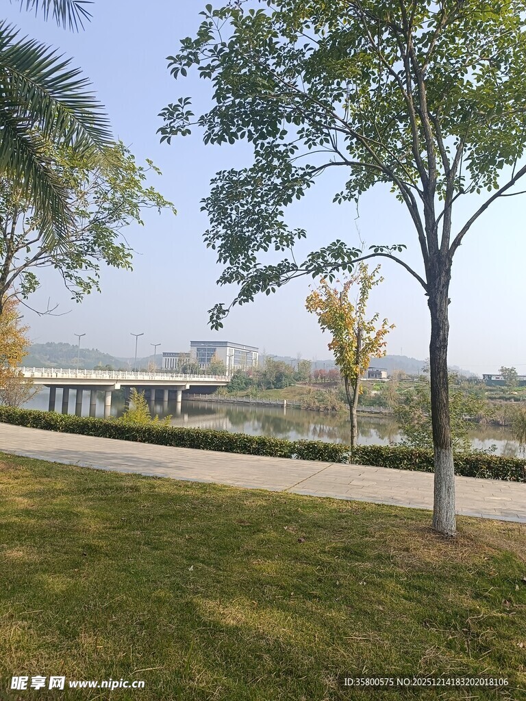 公园绿树成荫的休闲场景